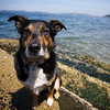 Iris on Alki